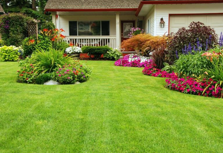 Paysagiste à Fontenay-Mauvoisin : créer un jardin durable